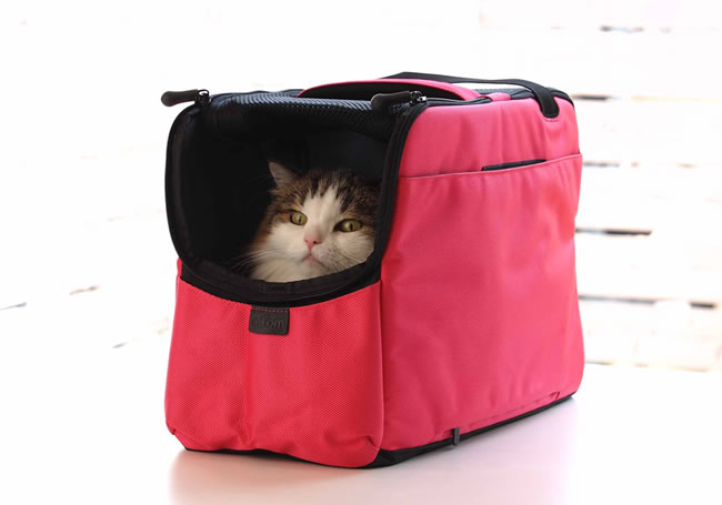 ���y���������zsleepypod atom�@�X���[�s�[�|�b�h�A�g���`��������`��A�������y�ʃ^�C�v�\�t�g�L�����[
