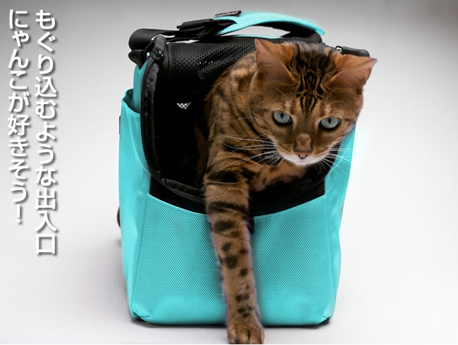 ���y���������zsleepypod atom�@�X���[�s�[�|�b�h�A�g���`��������`��A�������y�ʃ^�C�v�\�t�g�L�����[