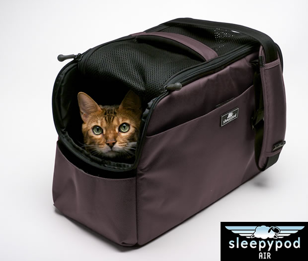 ���y���������zsleepypod atom�@�X���[�s�[�|�b�h�A�g���`��������`��A�������y�ʃ^�C�v�\�t�g�L�����[