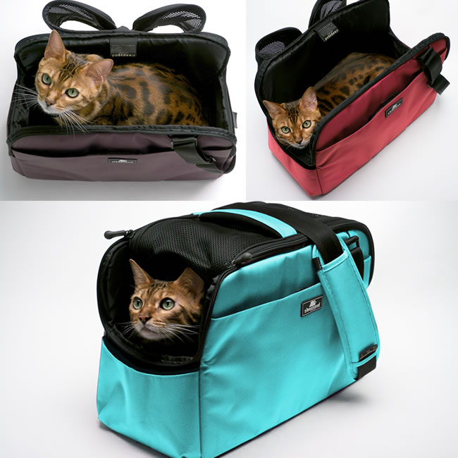 ���y���������zsleepypod atom�@�X���[�s�[�|�b�h�A�g���`��������`��A�������y�ʃ^�C�v�\�t�g�L�����[