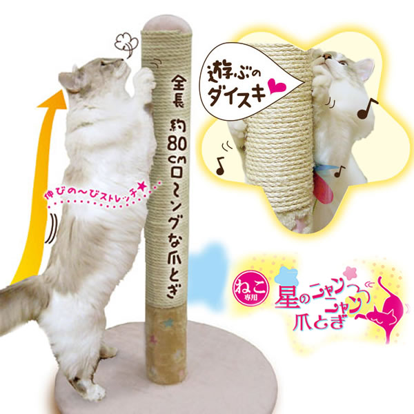 �y�b�c���[�g�@ ���̃����O�܂Ƃ��`�S����80���������O�܂Ƃ�