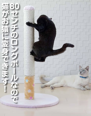 �y�b�c���[�g�@ ���̃����O�܂Ƃ��`�S����80���������O�܂Ƃ�