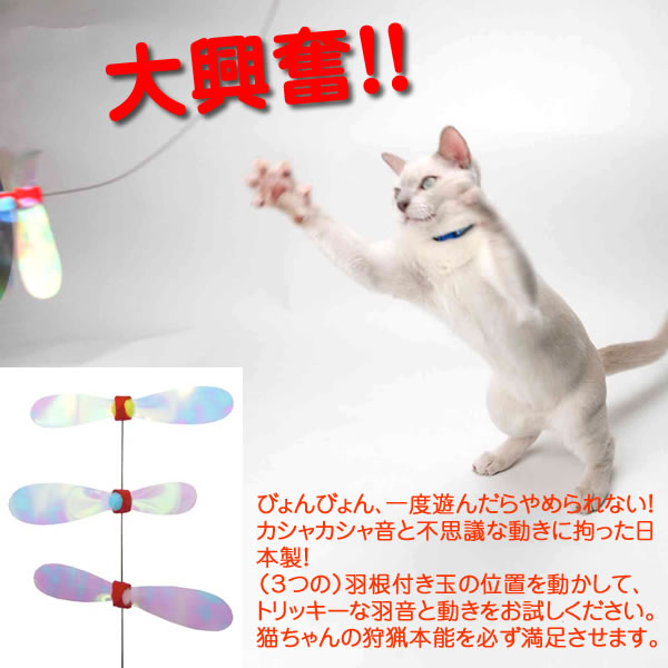 �N�[�����