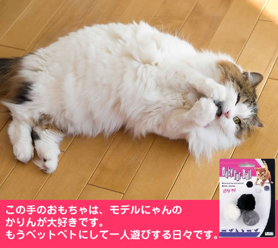 �x�r�[�t�@�[�{�[���R�Z�b�g
