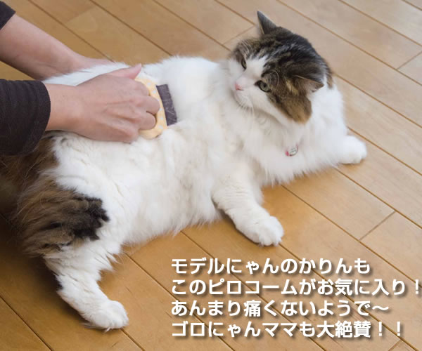 �s���R�[��