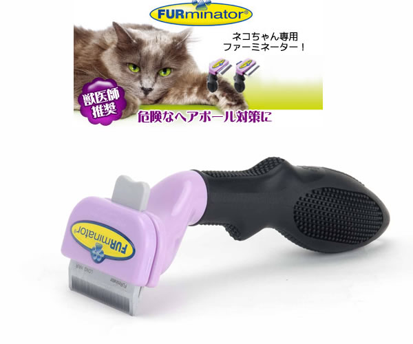 �t�@�[�~�l�[�^�[�������蔲���т������ł��܂��B���^�L