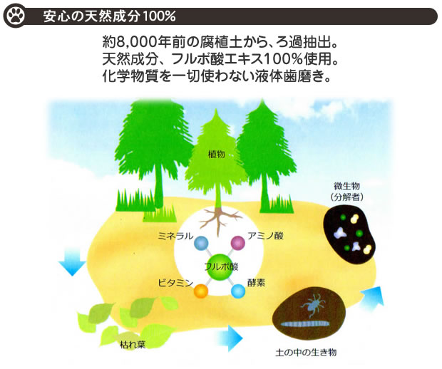 ���݂����匙���̔L�����ց`�n�~�K�L�T�v���`�t�̎������A�����ɒ��ڃX�v���[�A�������ɍ����邾���`20����