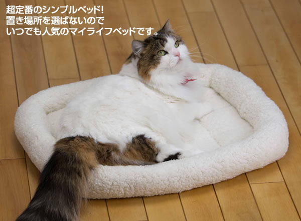 Paris Bed Mini�@�p���X�x�b�h�~�j�`�����ؐ��x�b�h�@