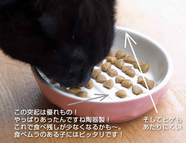 �C�[�W�[�_�C�i�[�@�L���b�g�f�B�b�V���`��ʂ̓ˋN���t�[�h���������₷��
