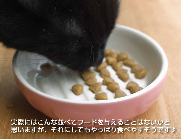 �C�[�W�[�_�C�i�[�@�L���b�g�f�B�b�V���`��ʂ̓ˋN���t�[�h���������₷��