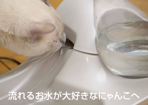 �C���t�B�j�e�B�`�X�^�C���b�V���ő�e�ʁI�z������������