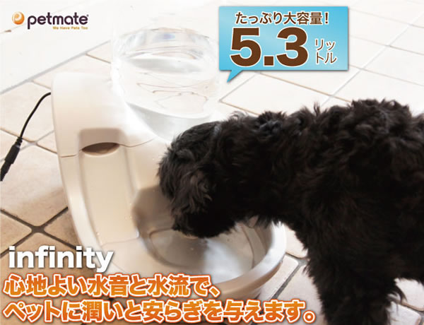 �C���t�B�j�e�B�`�X�^�C���b�V���ő�e�ʁI�z������������
