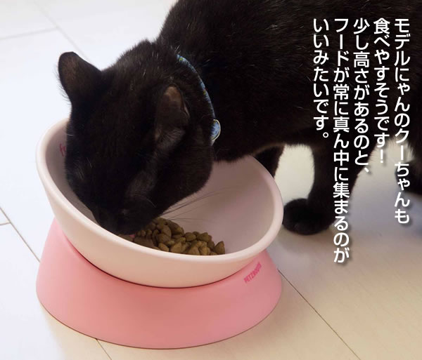 �y�b�c���[�g�@�t���[�t���[�H��`��̌X����ς����܂�