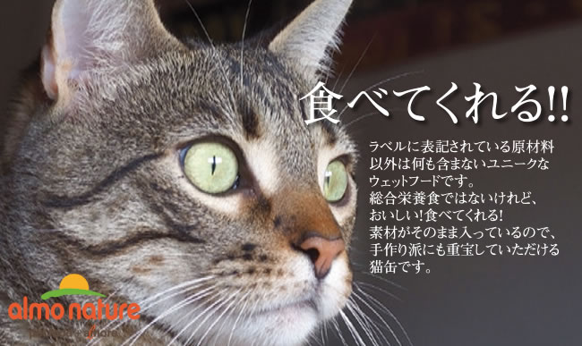 �A�����l�C�`���[�E�F�b�g