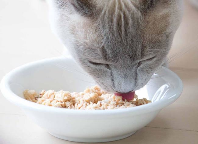 �N�[�`�������A�����l�C�`���[��H�ׂ�
