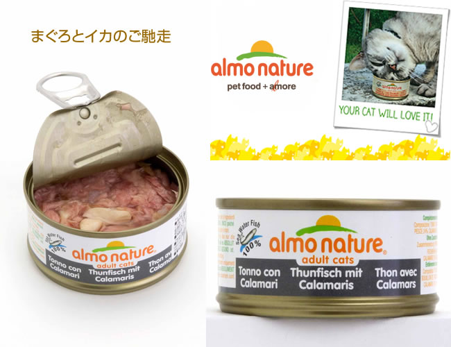 �A�����l�C�`���[�@�E�G�b�g�i�ʋl�j �@�܂���ƃC�J�̂��y���i5019�j�@70��