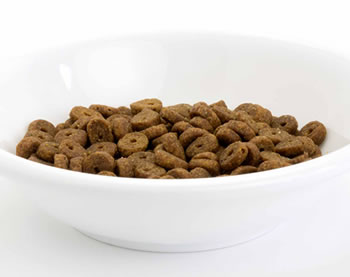 �A�����l�C�`���[�@�h���C�t�[�h�@�z���X�e�B�b�N�N���P�b�g�@�`�L�������C�X