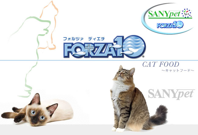 �t�H���c�@10�i�t�H���c�@�f�B�G�`�j