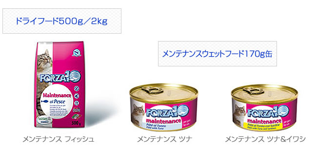 �����e�i���X�V���[�Y