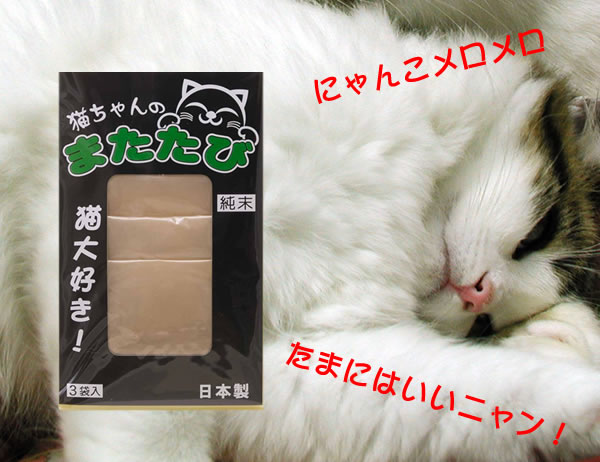 �L�����̂܂����с`�������Q�I�I0.5��&times;3�ܓ���