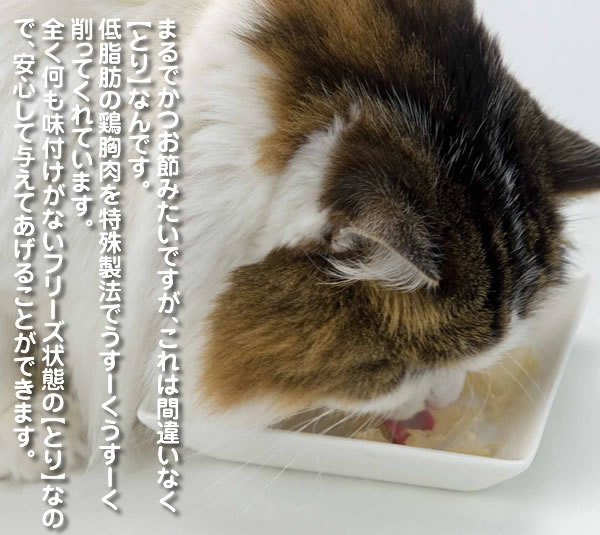 ���Y���Ƃ肯����
