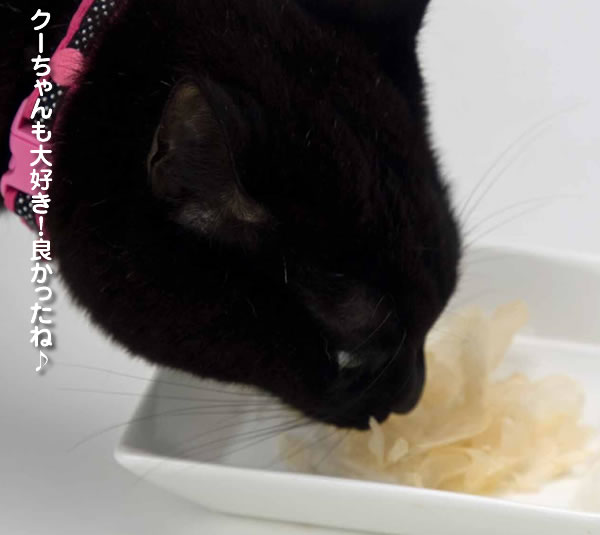 ���Y���Ƃ肯����
