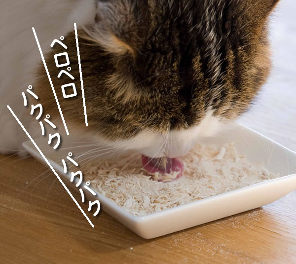 petz�@���Y���Ƃ�t���[�Y�@�����^�C�v�@30��
