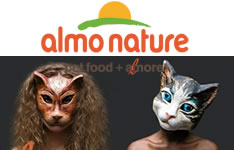 �A�����l�C�`���[