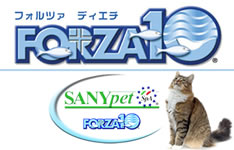 �t�H���c�@10