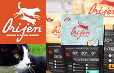 �I���W��