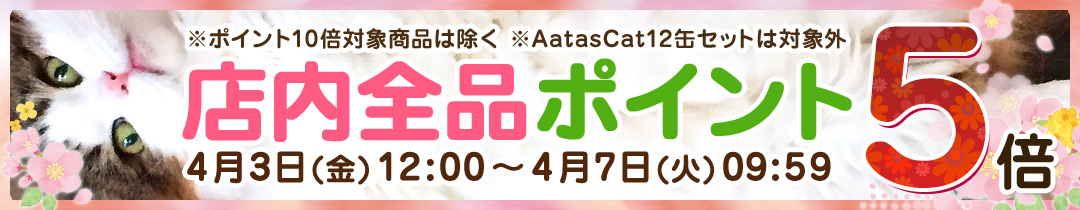 �X���S�i�|�C���g�A�b�v