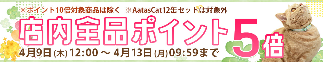 �X���S�i�|�C���g�A�b�v