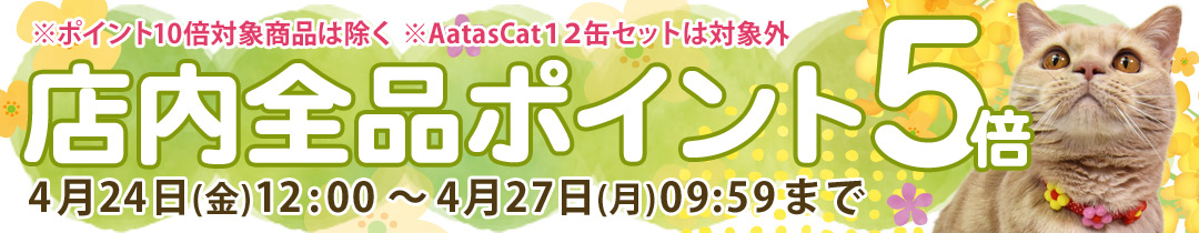 �X���S�i�|�C���g�A�b�v