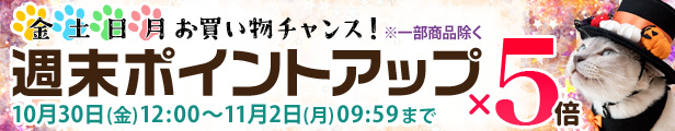 �X���S�i�|�C���g�A�b�v