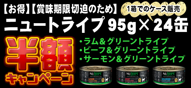 �j���[�g���C�v ������SALE