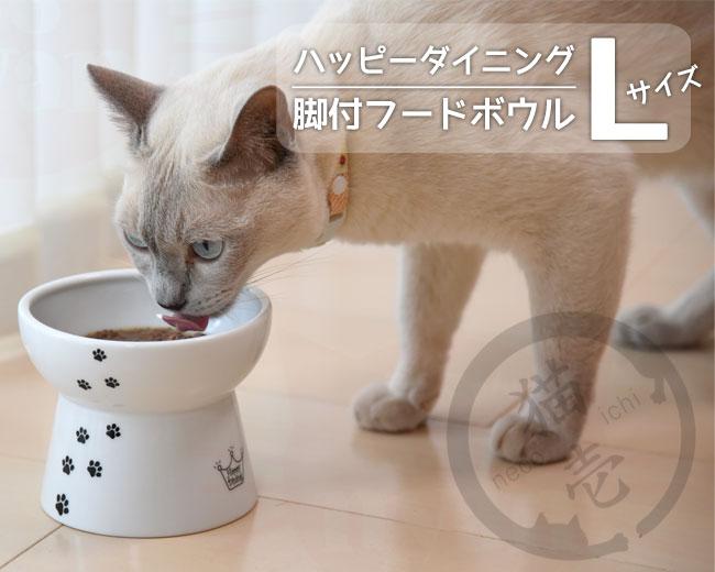 にゃおん 三越伊勢丹 | TOD'S/トッズ_Men通販 | テクニカル ファブリック