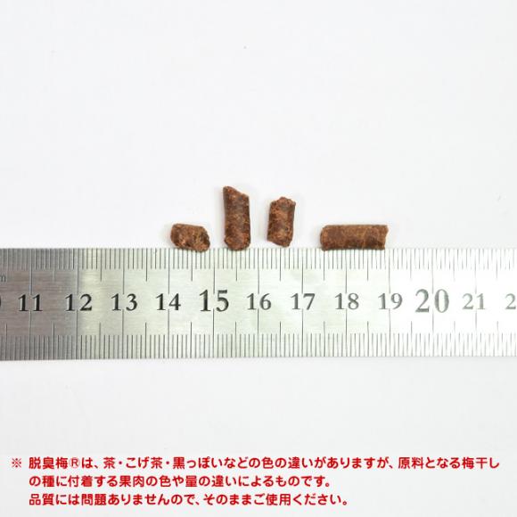 ybg̒ELgC EL~ 3L (02528) L