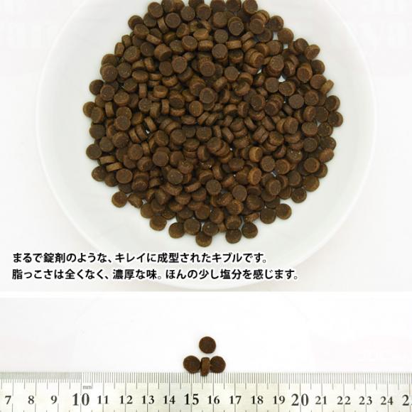 `[ A_gLbg 1kg (34159) CHARM hCt[h SNLp h{H