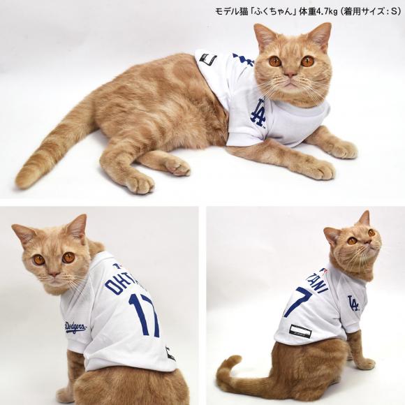 MLB T[X hW[X JĕI胂f jtH[ 싅 TVc zCg S-MTCY (69937) Los Angeles Dodgers ybg