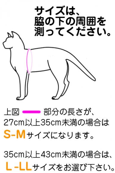 yf̕ϐgjs[X2(L-LLTCY) ` Lz