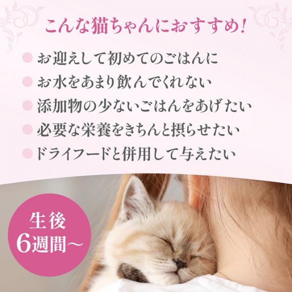 Cherie VF[ ܂냀[X qLp 80g (00715) Lph{H Ώی6Tԁ`12 HappyDays