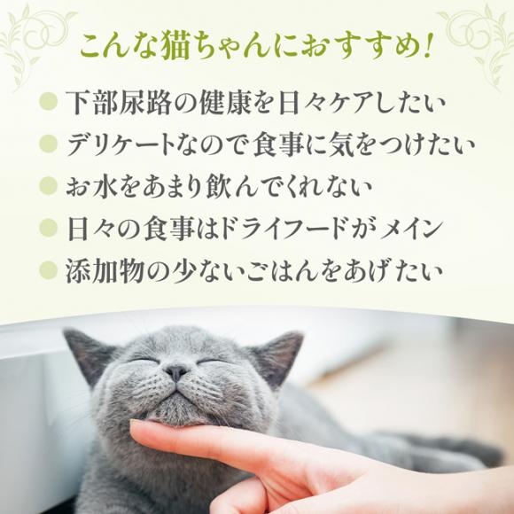 Cherie VF[ `L&ڂinO[r[ AȞNێ Lp 80g (01125) h{H Lp EFbgt[h L HappyDays