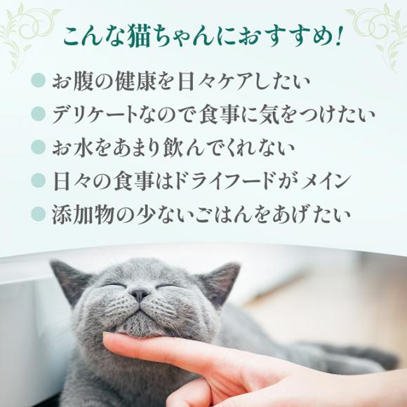 Cherie VF[ ܂&LECinO[r[ ̌Nێ Lp 80g (01149) h{H Lp EFbgt[h L HappyDays