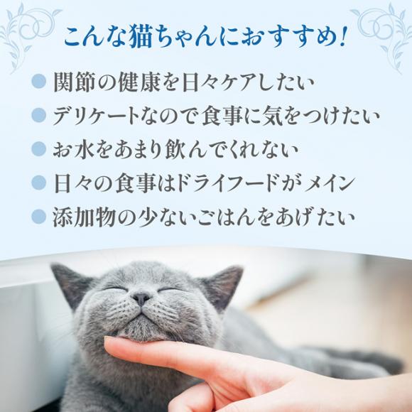 Cherie VF[ ܂&g}ginO[r[ ֐߂̌Nێ Lp 80g (01453) h{H Lp EFbgt[h L HappyDays