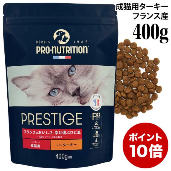 vXeB[W Lp A_g with ^[L[ 400g (35413) 10J̐Lp hCt[h h{Hy|Cg10{z