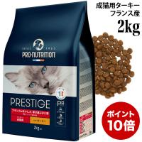vXeB[W Lp A_g with ^[L[ 2kg (90204) 10J̐Lp hCt[h h{Hy|Cg10{z
