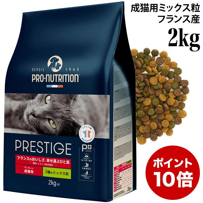楽天市場】【P20倍☆猫おやつフェア！19時〜】【6個セット