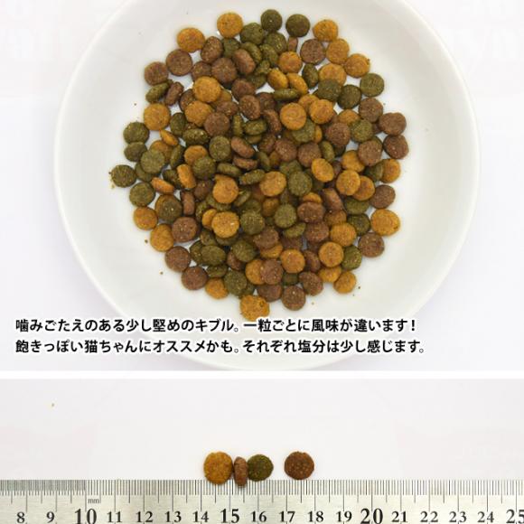 vXeB[W Lp A_g 3̃~bNX 2kg (00200) 10J̐Lp hCt[h h{Hy|Cg10{z