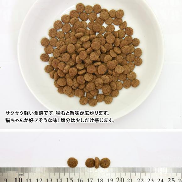 vXeB[W Lp A_g D with `L 2kg (10209) 10J̔DLp Lp hCt[h h{Hy|Cg10{z