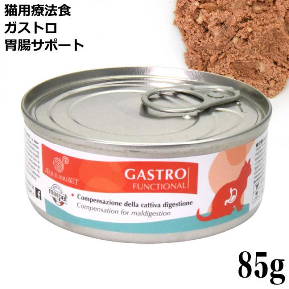 yA:݊ʓ ܖ2028N229zGNCuA ݒT|[g GASTRO KXg 85g LpÖ@H (6502)